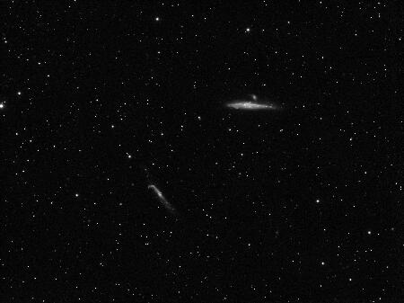 NGC4631,NGC4656, 2020-04-22, 73x200L , APO100Q, ASI1600MM-Cool.jpg